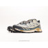 Кроссовки Salomon XT-6 GTX Bleached Sand/Cumin Кроссовки Salomon XT-6 GTX Bleached Sand/Cumin