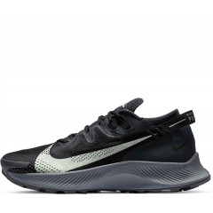 Кроссовки Nike Pegasus Trail 2 Dark Smoke Grey