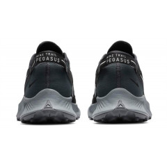 Кроссовки Nike Pegasus Trail 2 Dark Smoke Grey