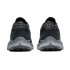 Кроссовки Nike Pegasus Trail 2 Dark Smoke Grey Кроссовки Nike Pegasus Trail 2 Dark Smoke Grey
