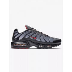 Кроссовки Nike Air Max Plus Black/Grey/Gradient Red