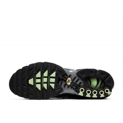 Кроссовки Nike Air Max Plus Particle Grey/Vapour Green/Black Кроссовки Nike Air Max Plus Particle Grey/Vapour Green/Black