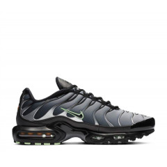 Кроссовки Nike Air Max Plus Particle Grey/Vapour Green/Black