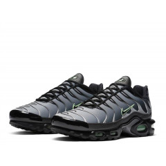 Кроссовки Nike Air Max Plus Particle Grey/Vapour Green/Black