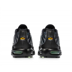 Кроссовки Nike Air Max Plus Particle Grey/Vapour Green/Black