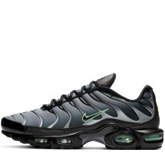 Кроссовки Nike Air Max Plus Particle Grey/Vapour Green/Black