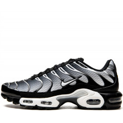 Кроссовки Nike Air Max Plus Black/Silver
