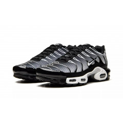 Кроссовки Nike Air Max Plus Black/Silver