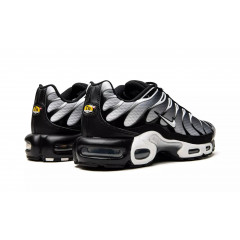 Кроссовки Nike Air Max Plus Black/Silver