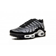 Кроссовки Nike Air Max Plus Black/Silver