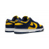 Кроссовки Nike SB Dunk Low "Michigan" Кроссовки Nike SB Dunk Low "Michigan"
