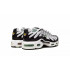 Кроссовки Nike Air Max Plus Silver Кроссовки Nike Air Max Plus Silver