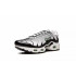 Кроссовки Nike Air Max Plus Silver Кроссовки Nike Air Max Plus Silver