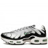 Кроссовки Nike Air Max Plus Silver Кроссовки Nike Air Max Plus Silver
