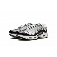 Кроссовки Nike Air Max Plus Silver