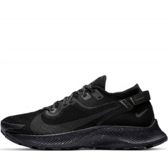 Кроссовки Nike Pegasus Trail 2 Gore Tex Black