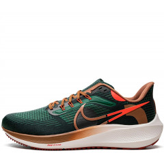 Кроссовки Nike Air Zoom Pegasus 39 "A.I.R. Hola Lou"