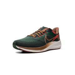 Кроссовки Nike Air Zoom Pegasus 39 "A.I.R. Hola Lou"