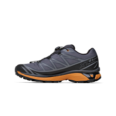 Кроссовки Salomon XT-6 GTX Utility Black